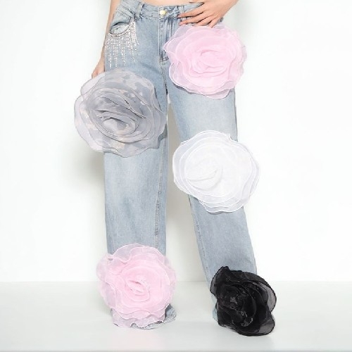 Stylish Pant