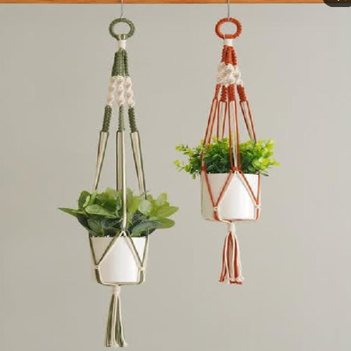 Plant Pot