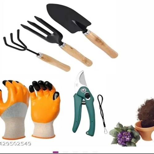 imgThumb1