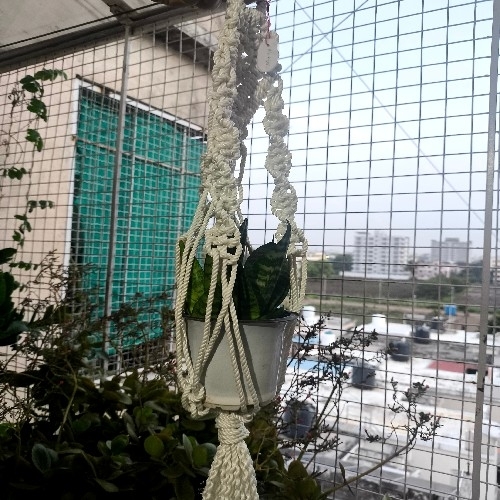 Plant Hanger
