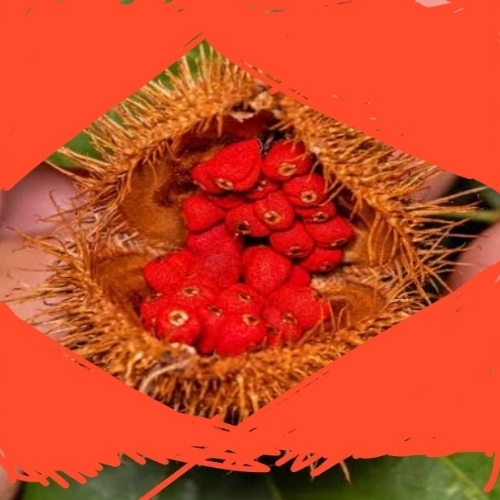 Sidh Vashikaran Sindoor