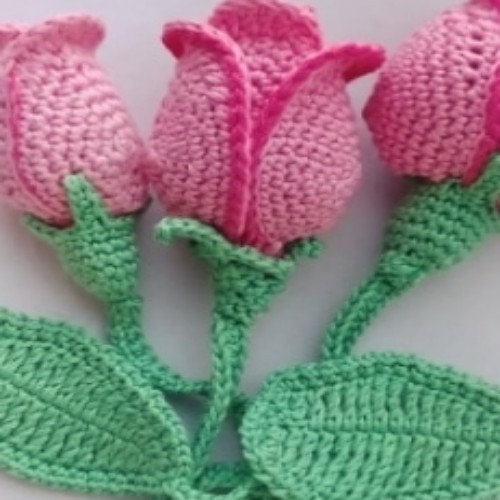 3D Roses Set of Three