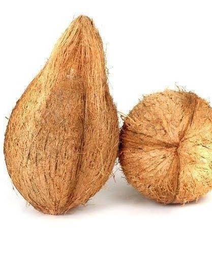 nariyal