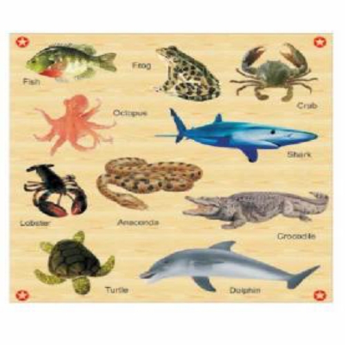 Wooden Aquatic Animal Shape Toy Board Game
