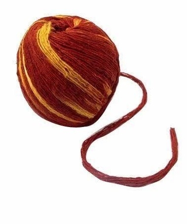 Puja Moli