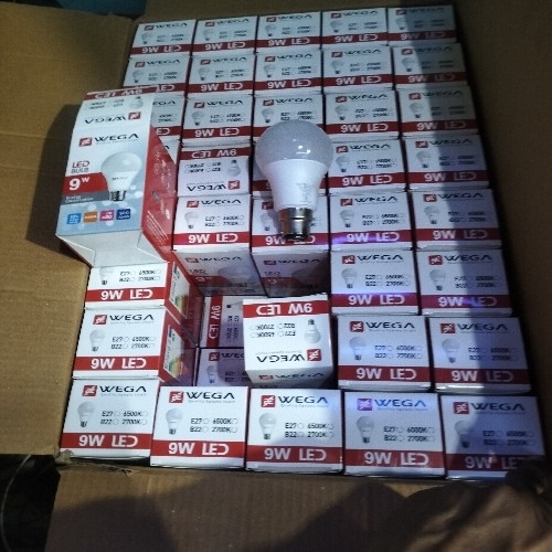 2pic Wega Bulb 1year Guarantee